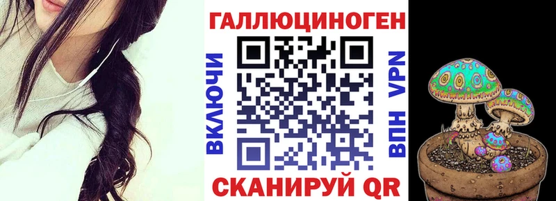 Купить закладки  Нариманов  Галлюциногенные грибы Cubensis 