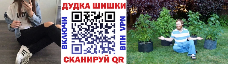 Купить закладки  Нариманов  Бошки марихуана Amnesia 